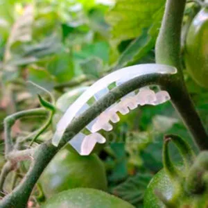Soporte para Racimo