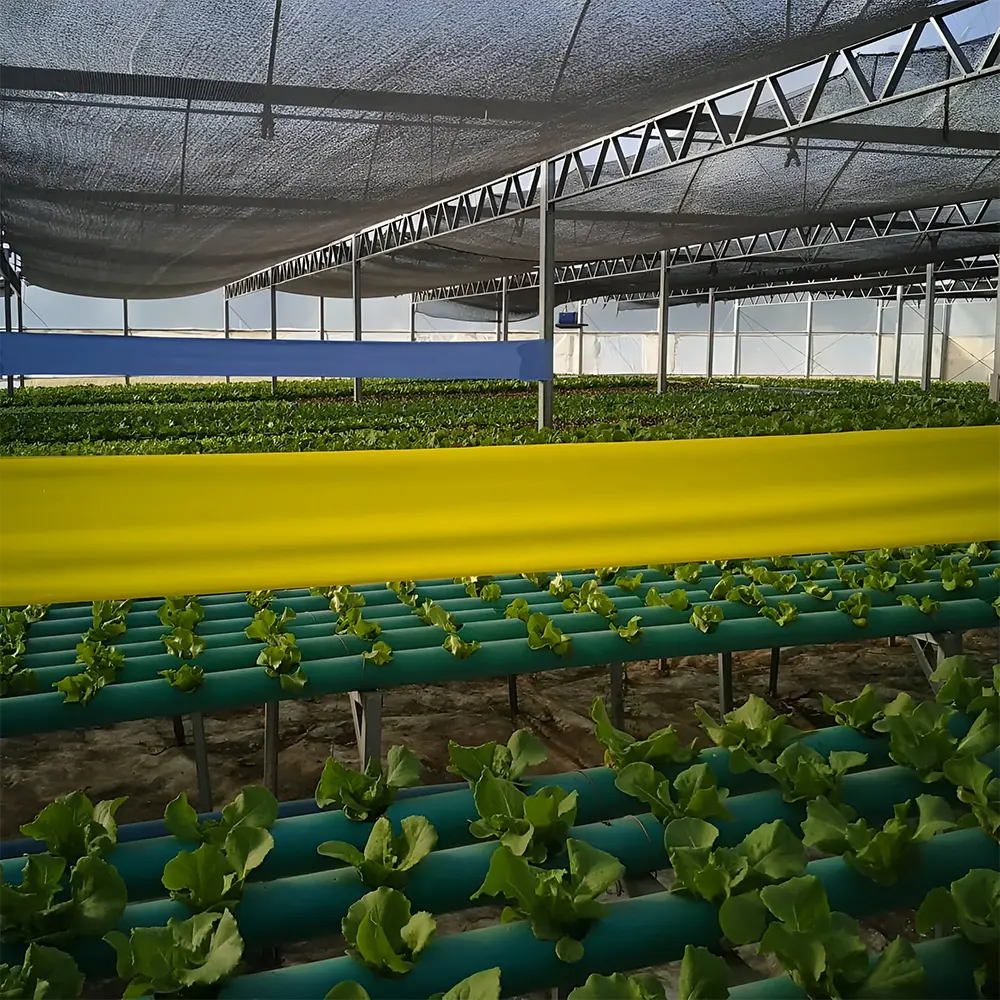 Filmtrap Rollos - Imagen 4