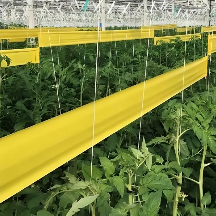 Filmtrap Rollos - Imagen 3